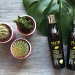 Présentation des shampoings Hairborist sur une étagère de salon coiffure bio, avec lumière naturelle filtrant sur les flacons aux étiquettes colorées. Les produits sont identifiés : Sensity, Daily Clean, Harmony Clean, Color Clean, Men Tonic et Naturalys. En arrière-plan, des accessoires de coiffure et plantes vertes renforcent l’image d’une beauté responsable, utilisée par La Maison du Coloriste.